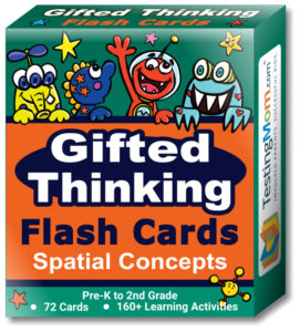 NEW Gifted Thinking Spatial Concepts Flash Cards Pack For Pre K 2nd