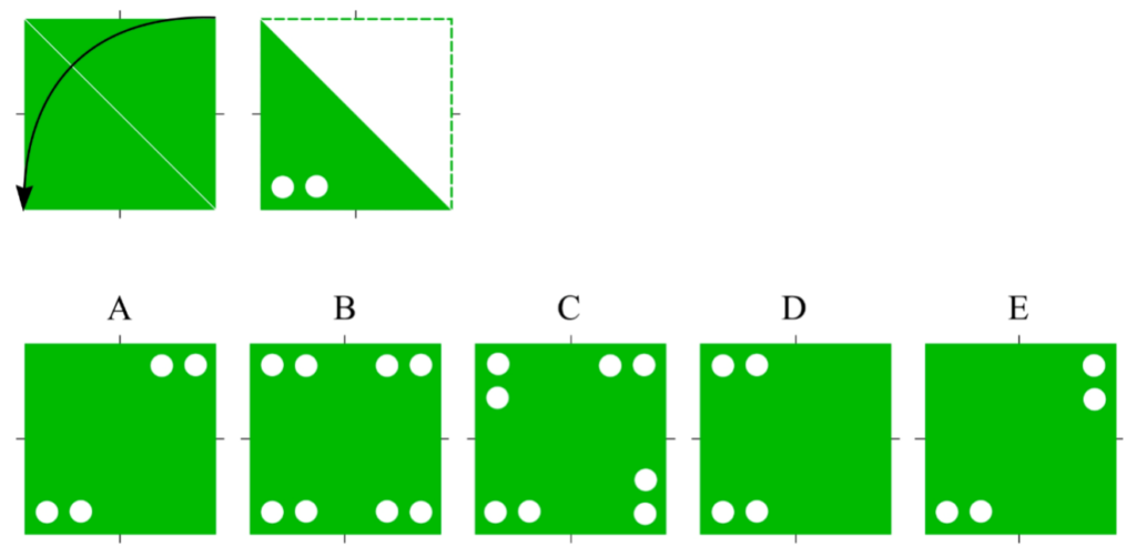 CAT4 - Spatial Reasoning - Testing Mom