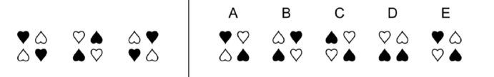 6th Grade Figure Classification Questions