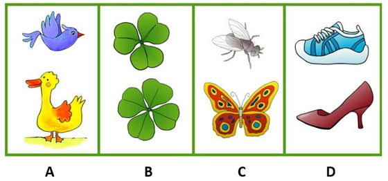 Bracken Size and Shape Sample Practice Question