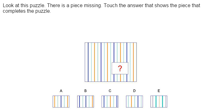 Nyc Gifted And Talented Kindergarten Nnat Sample