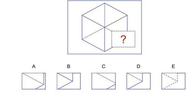 NNAT Pattern Completion