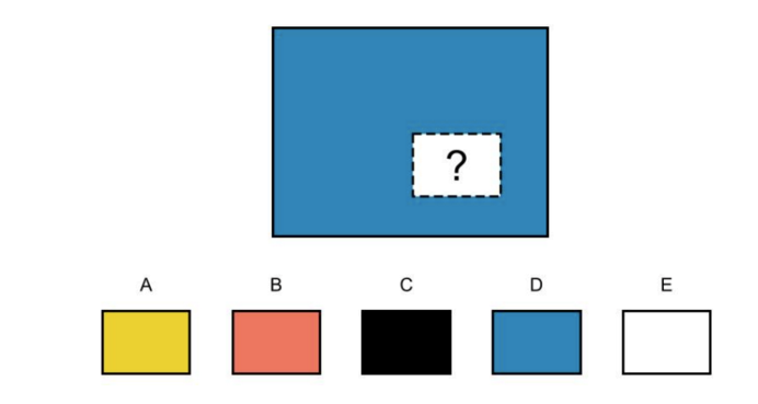 NNAT Pattern Completion Sample 1