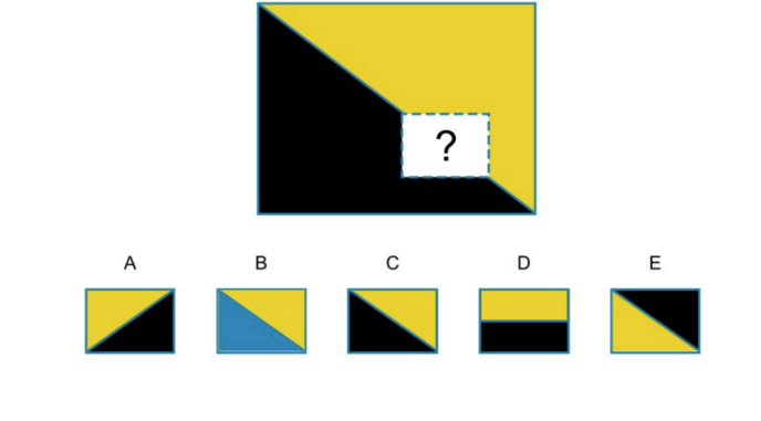 NNAT Test 3rd-4th Grade Sample Questions, 44% OFF