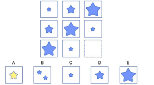 NNAT Serial Reasoning Sections