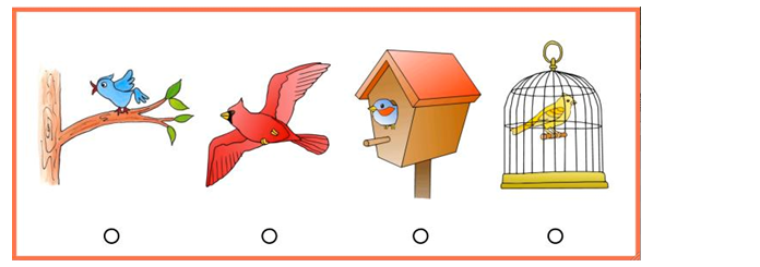 Otis-Lennon School Ability Test OLSAT Practice Questions Sample 1 Following Directions
