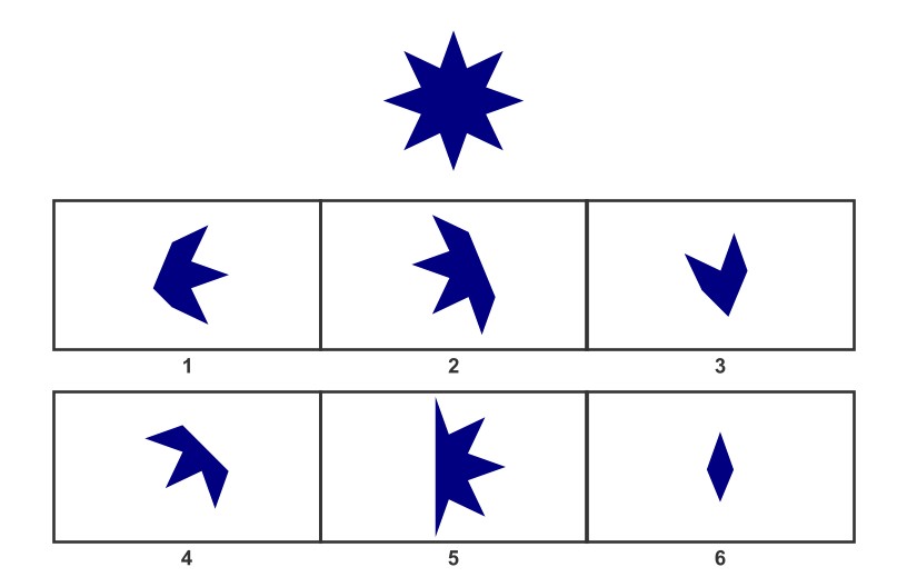 WISC Visual Spatial Reasoning-Age 12