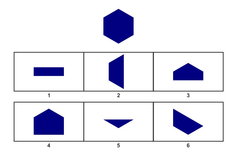 Wisc Test Examples