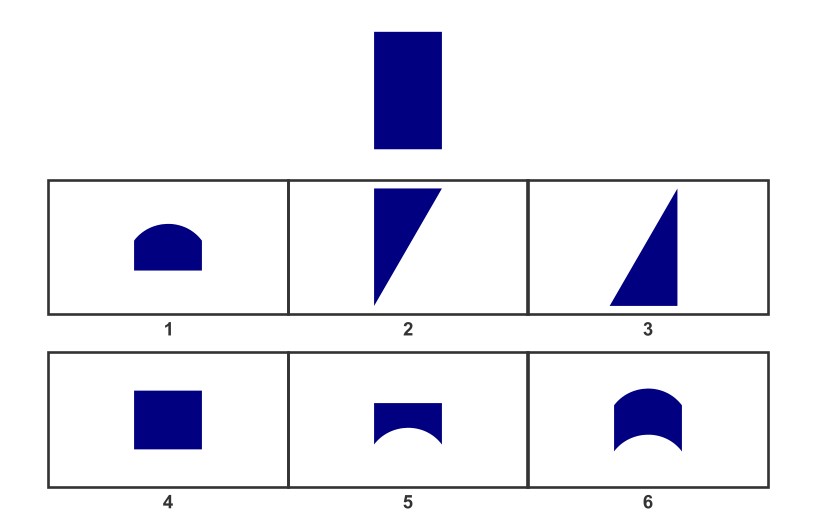 visual spatial test