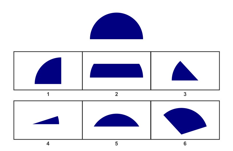 WISC Visual Spatial Reasoning-Age 10