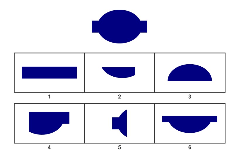 WISC Visual Spatial Reasoning-Age 13