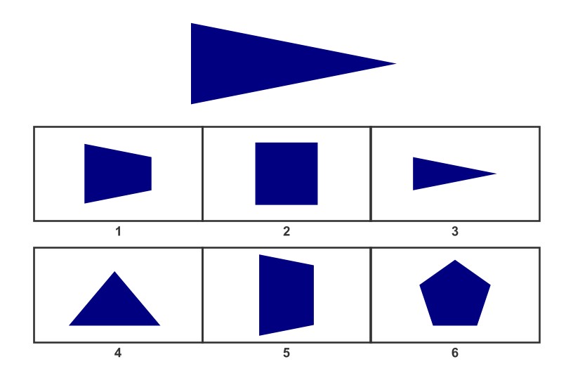 WISC Visual Spatial Reasoning-Age 7