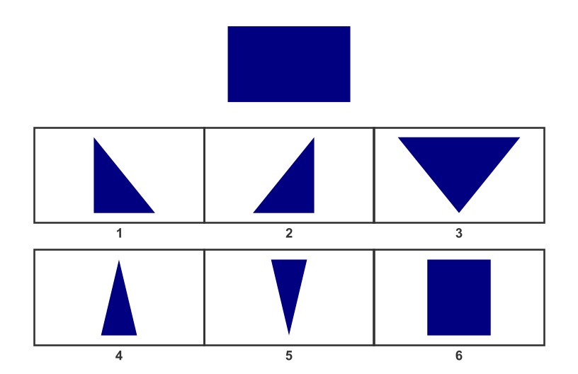 WISC Visual Spatial Reasoning-Age 6