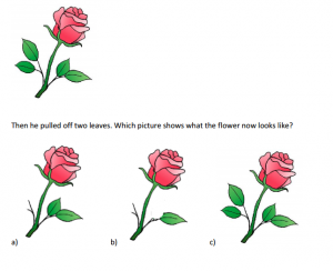 able sample test questions