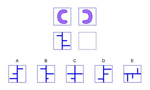 nnat2 practice question