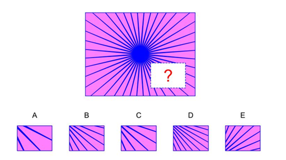 nnat2 practice questions