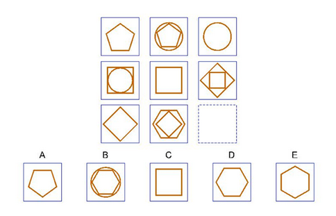 nnat2 test question