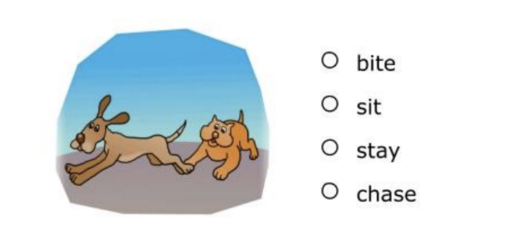 terra nova math practice 8